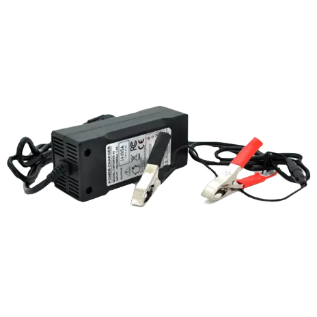 Зарядний пристрій для акумуляторів Merlion LiFePO4 12V(14,6V)-5A-60W